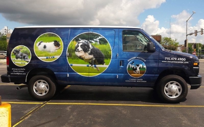 vehicle graphics Photo